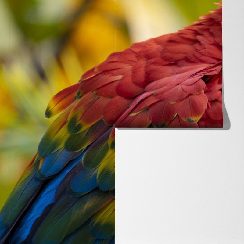 Fototapeta wyrazisty portret ary szkarłatnej – Wallissimo® Fototapeta wyrazisty portret ary szkarłatnej – Wallissimo®