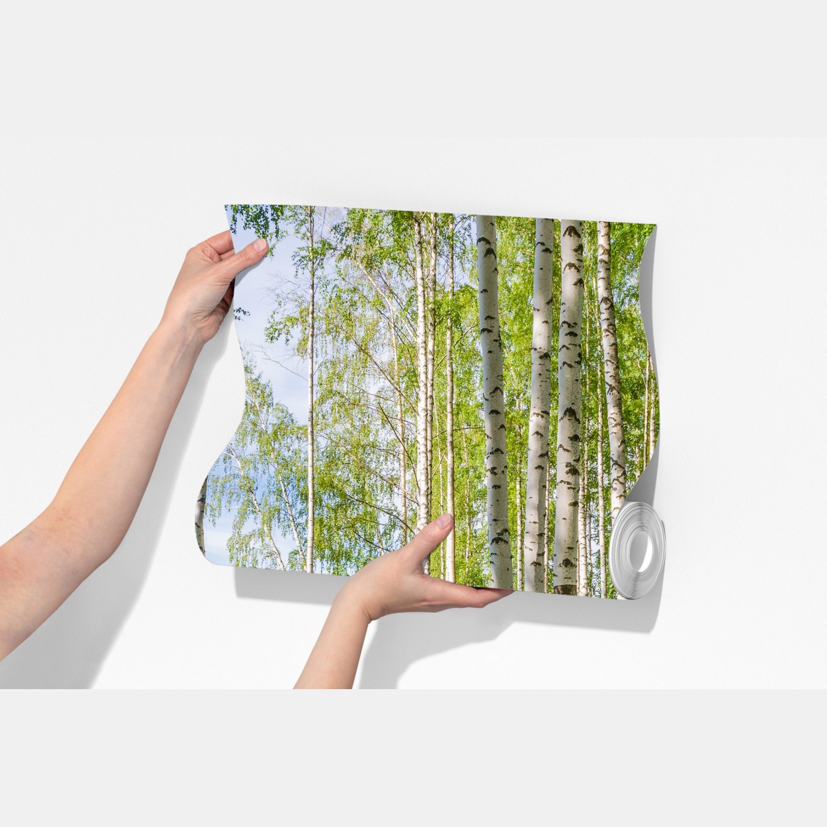 Fototapeta słoneczny zagajnik brzozowy nad wodą – Wallissimo® Fototapeta słoneczny zagajnik brzozowy nad wodą – Wallissimo®