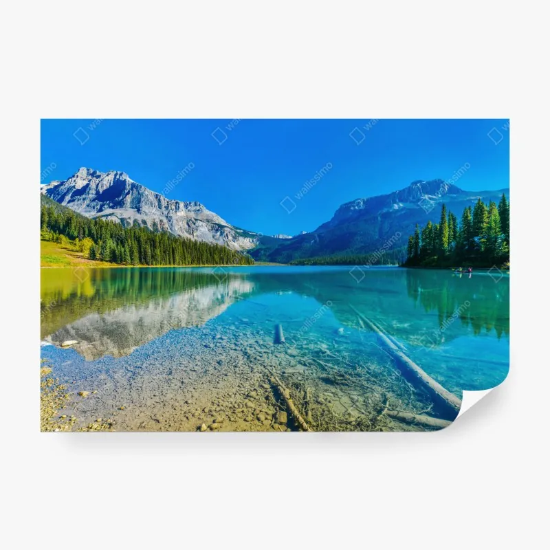 Fototapeta żywe czerwone róże kolaż – Wallissimo®