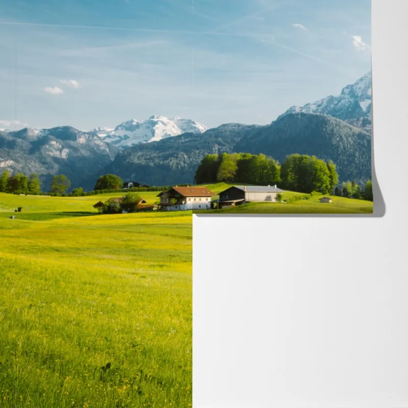 Fototapeta alpejska łąka pod ośnieżonymi szczytami – Wallissimo® Fototapeta alpejska łąka pod ośnieżonymi szczytami – Wallissimo®