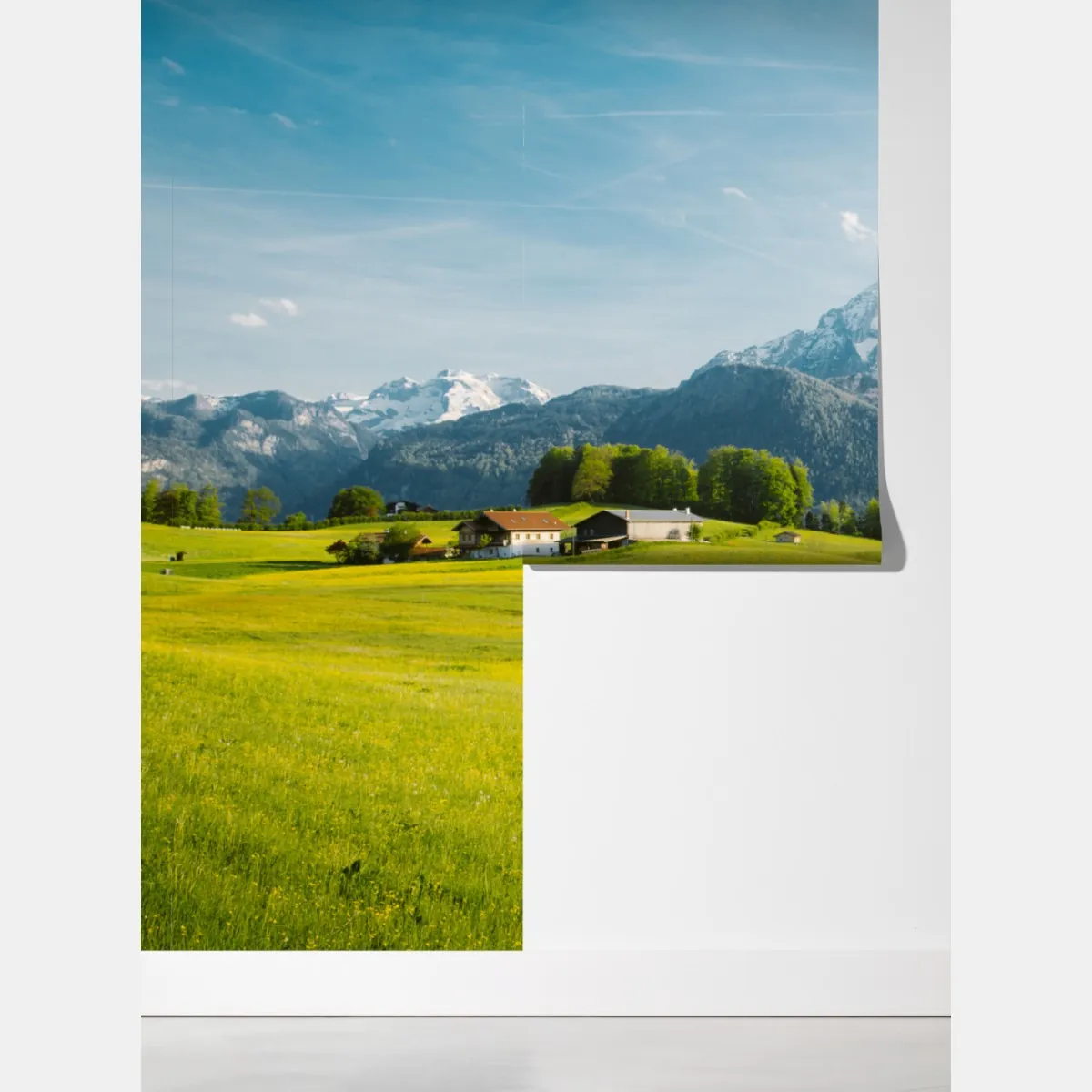 Fototapeta alpejska łąka pod ośnieżonymi szczytami – Wallissimo® Fototapeta alpejska łąka pod ośnieżonymi szczytami – Wallissimo®