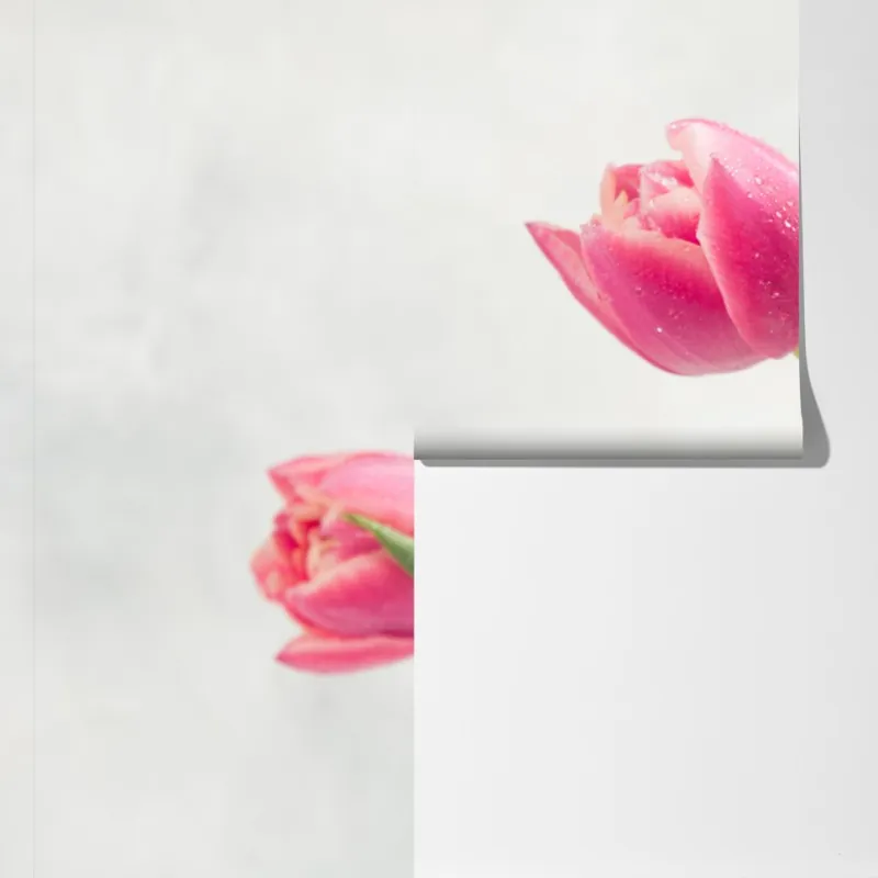 Fototapeta elegancki bukiet różowych tulipanów – Wallissimo® Fototapeta elegancki bukiet różowych tulipanów – Wallissimo®