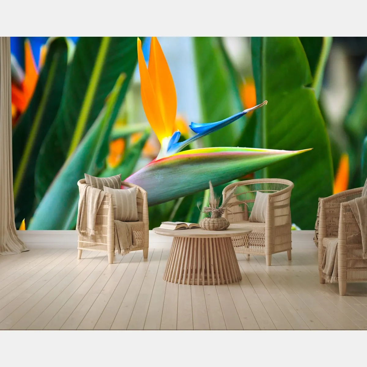 Fototapeta żywy kwiat ptaka rajskiego – Wallissimo® Fototapeta żywy kwiat ptaka rajskiego – Wallissimo®