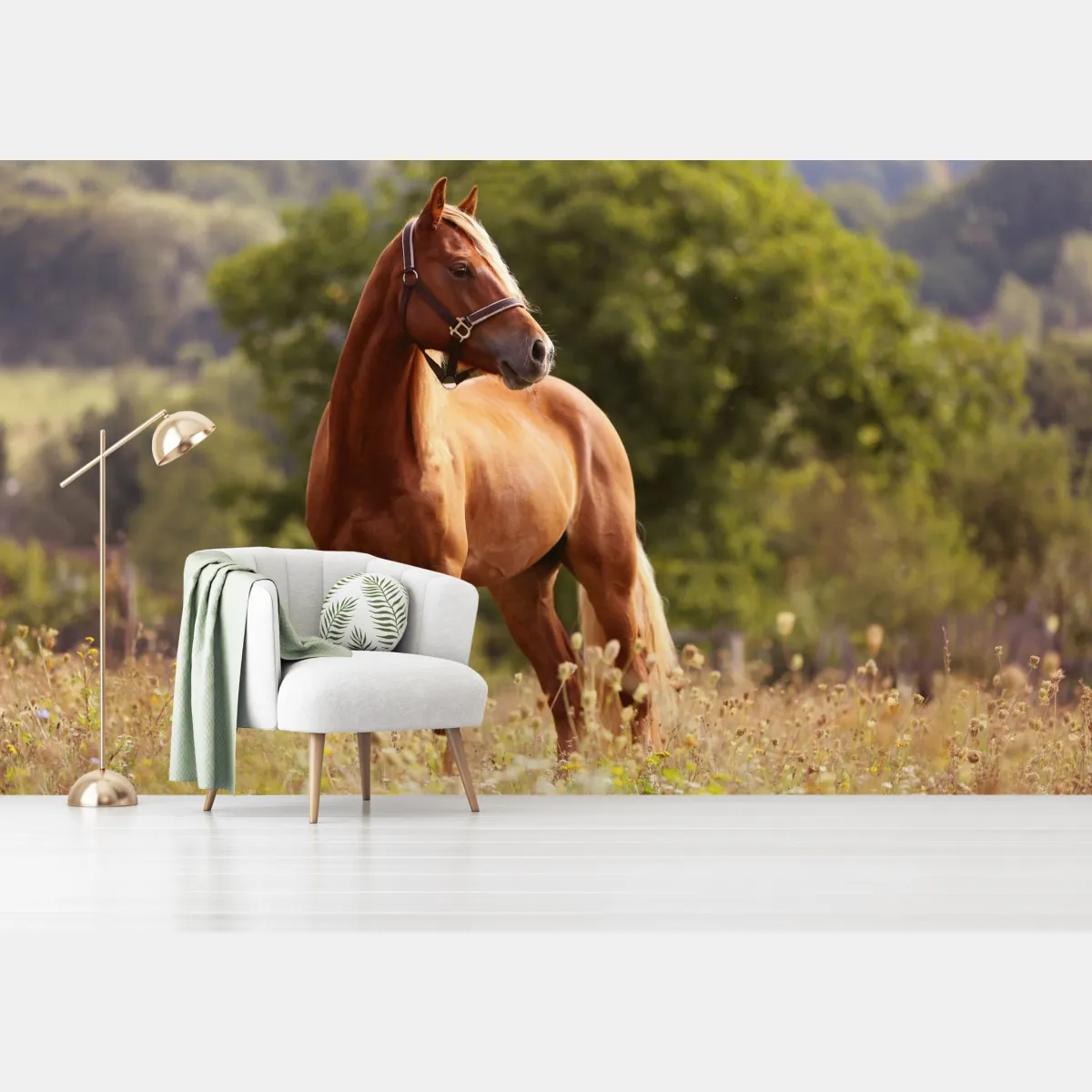 Fototapeta majestatyczny kasztanowy koń na letniej łące – Wallissimo® Fototapeta majestatyczny kasztanowy koń na letniej łące – Wallissimo®