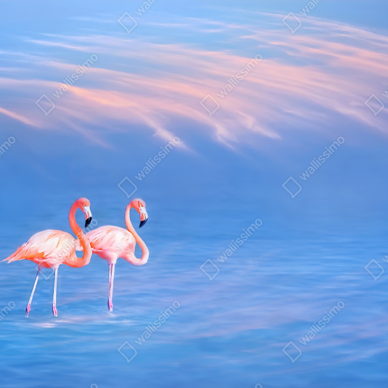 Fototapeta różowe flamingi na pastelowych wodach – Wallissimo® Fototapeta różowe flamingi na pastelowych wodach – Wallissimo®