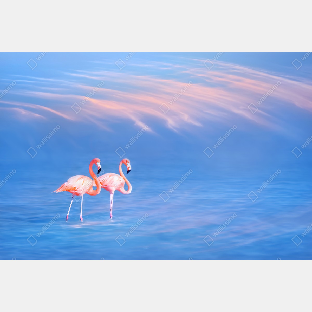 Fototapeta różowe flamingi na pastelowych wodach – Wallissimo® Fototapeta różowe flamingi na pastelowych wodach – Wallissimo®