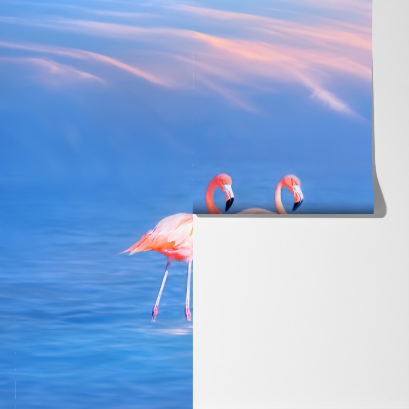 Fototapeta różowe flamingi na pastelowych wodach – Wallissimo® Fototapeta różowe flamingi na pastelowych wodach – Wallissimo®