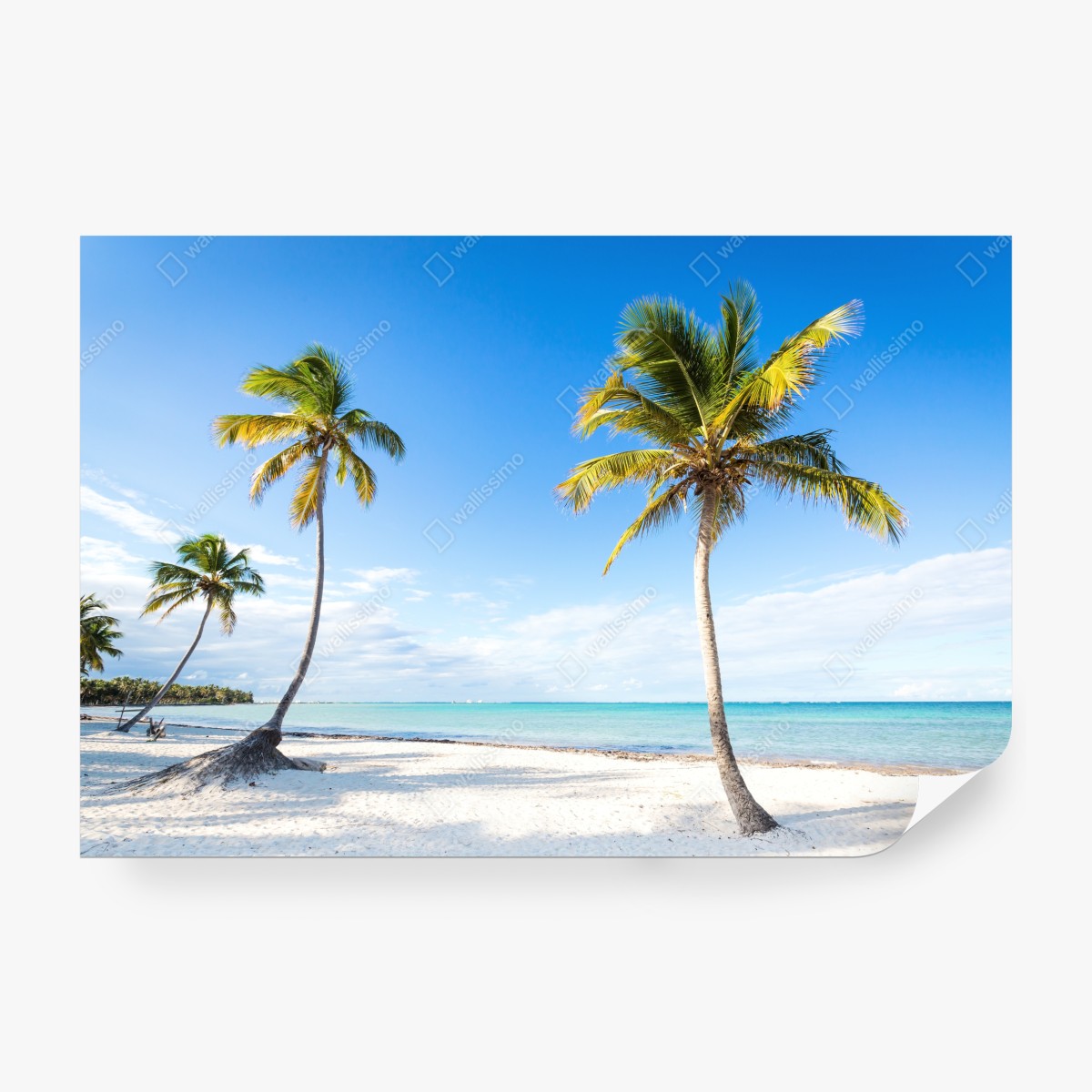 Fototapeta tropikalna plaża z palmami – Wallissimo® Fototapeta tropikalna plaża z palmami – Wallissimo®