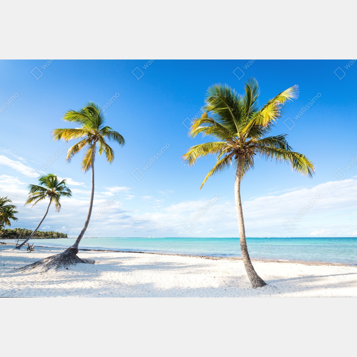 Fototapeta tropikalna plaża z palmami – Wallissimo® Fototapeta tropikalna plaża z palmami – Wallissimo®