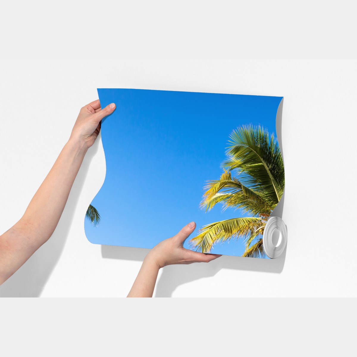 Fototapeta tropikalna plaża z palmami – Wallissimo® Fototapeta tropikalna plaża z palmami – Wallissimo®