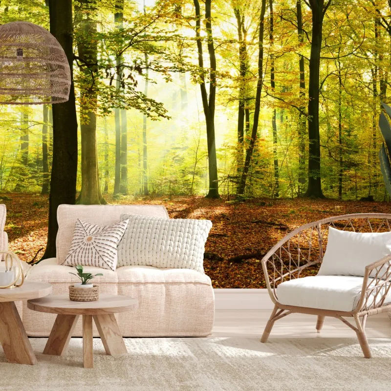Fototapeta złoty jesienny las o poranku – Wallissimo® Fototapeta złoty jesienny las o poranku – Wallissimo®
