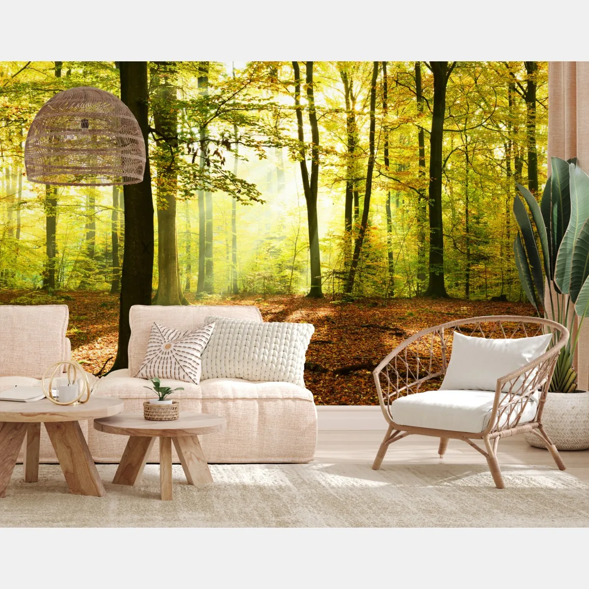 Fototapeta złoty jesienny las o poranku – Wallissimo® Fototapeta złoty jesienny las o poranku – Wallissimo®