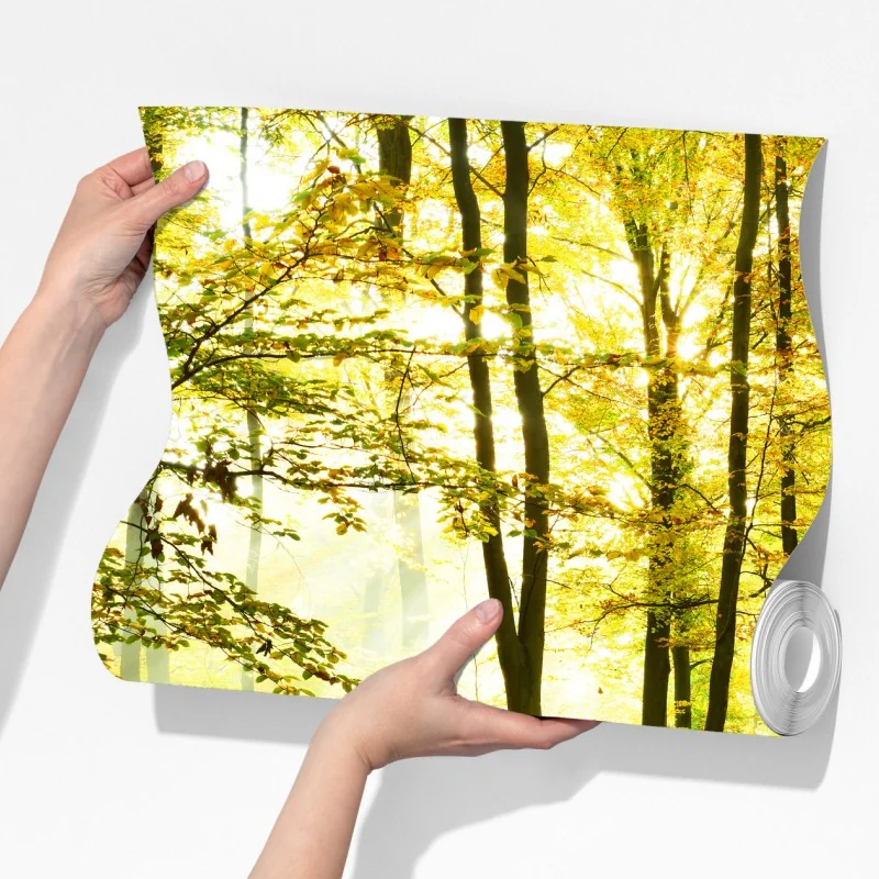 Fototapeta złoty jesienny las o poranku – Wallissimo® Fototapeta złoty jesienny las o poranku – Wallissimo®