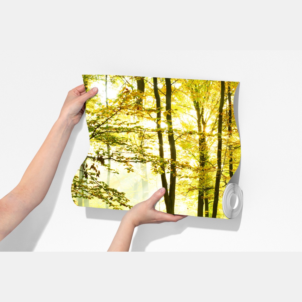 Fototapeta złoty jesienny las o poranku – Wallissimo® Fototapeta złoty jesienny las o poranku – Wallissimo®