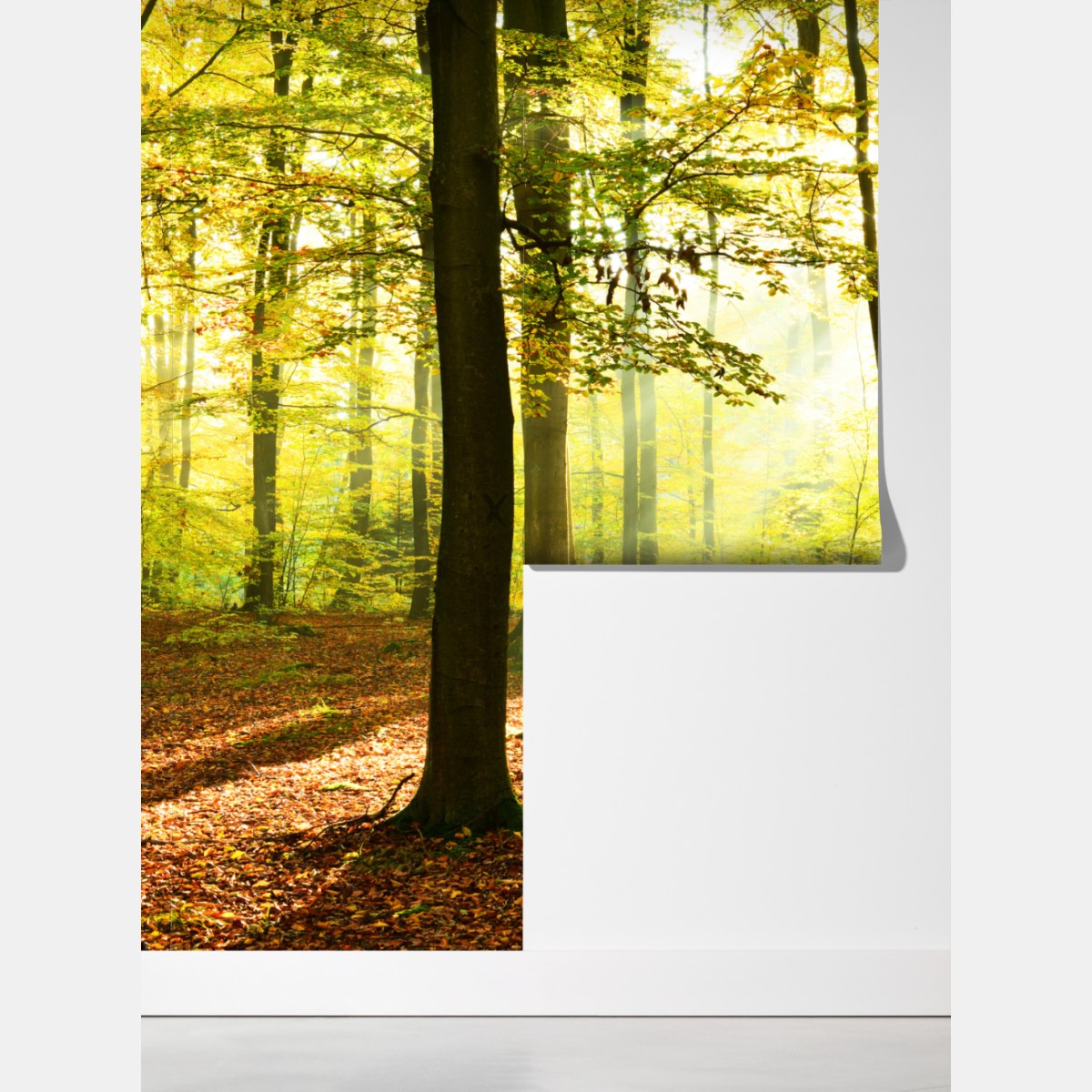 Fototapeta złoty jesienny las o poranku – Wallissimo® Fototapeta złoty jesienny las o poranku – Wallissimo®