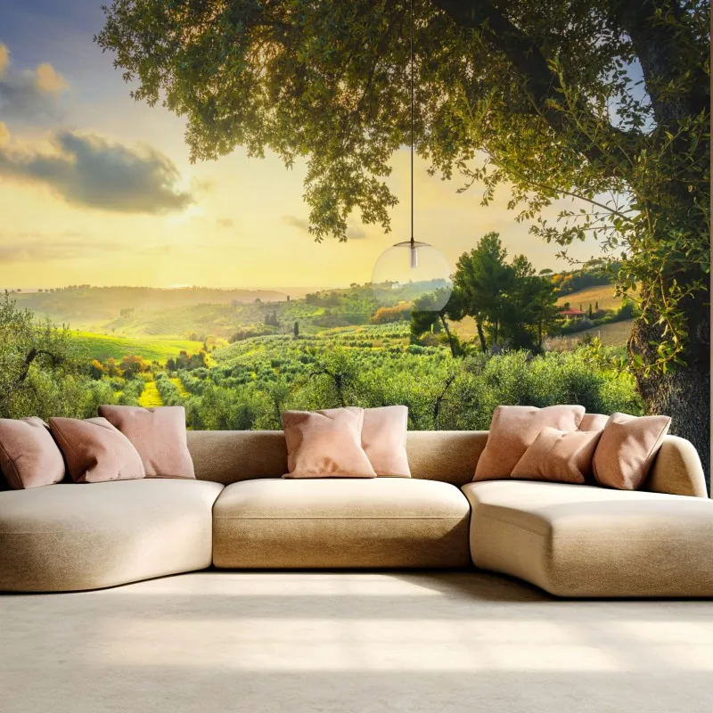 Fototapeta gaj oliwny przy zachodzie słońca w Maremma, Toskania