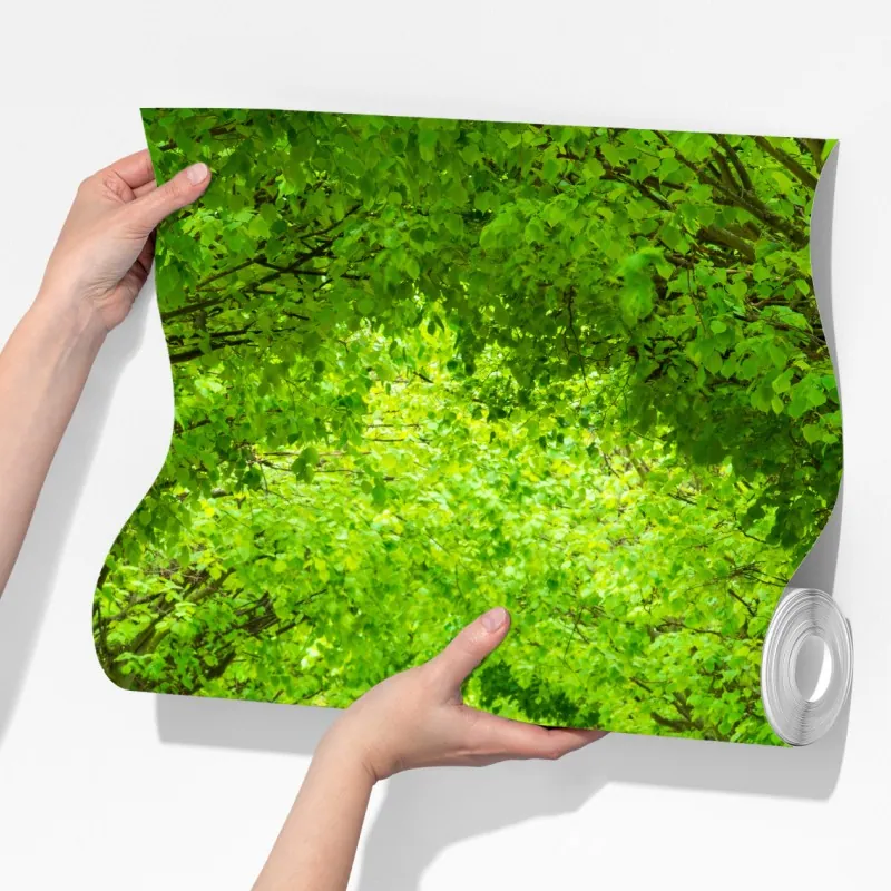 Fototapeta zielony tunel drzew – Wallissimo® Fototapeta zielony tunel drzew – Wallissimo®