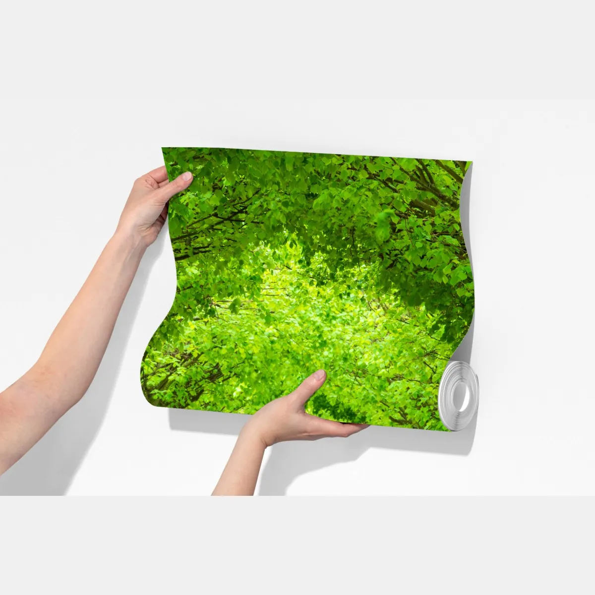 Fototapeta zielony tunel drzew – Wallissimo® Fototapeta zielony tunel drzew – Wallissimo®