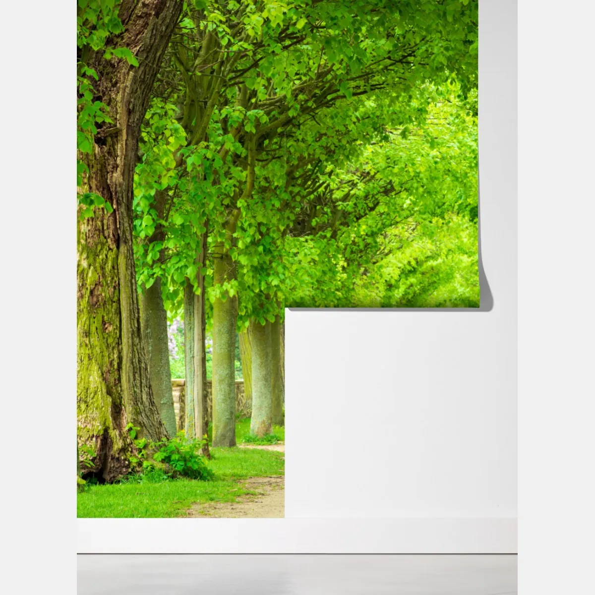 Fototapeta zielony tunel drzew – Wallissimo® Fototapeta zielony tunel drzew – Wallissimo®