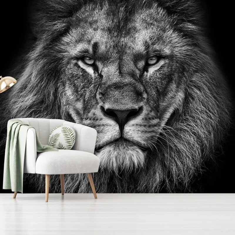 Fototapeta majestatyczny portret lwa w monochromie – Wallissimo® Fototapeta majestatyczny portret lwa w monochromie – Wallissimo®