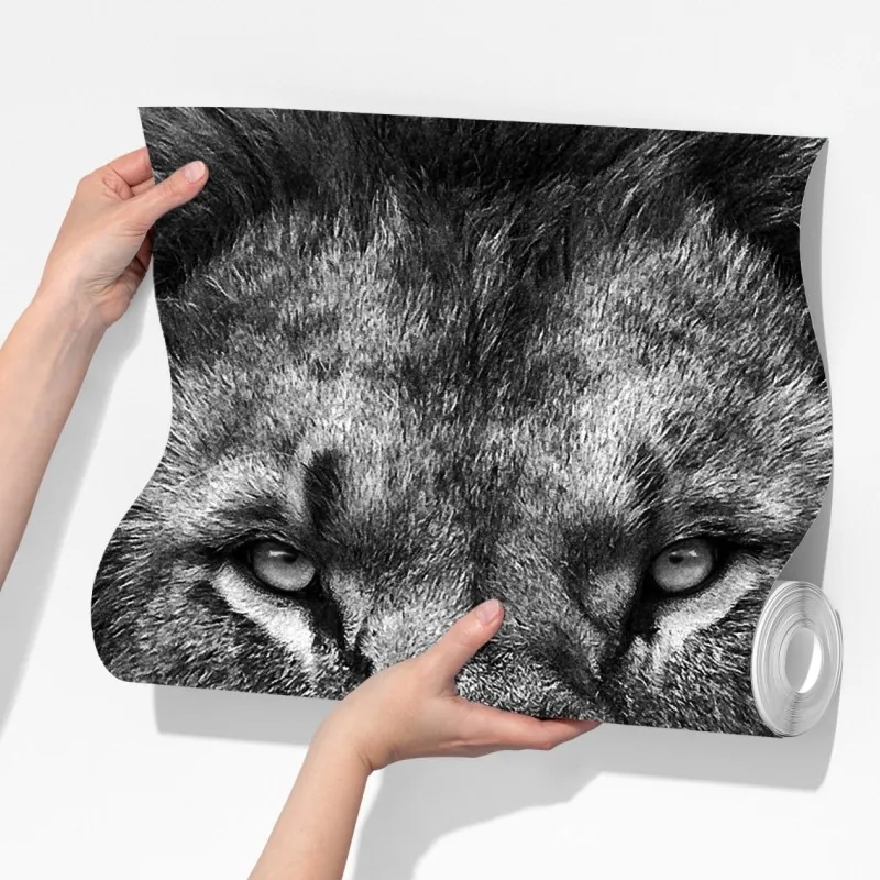 Fototapeta majestatyczny portret lwa w monochromie – Wallissimo® Fototapeta majestatyczny portret lwa w monochromie – Wallissimo®