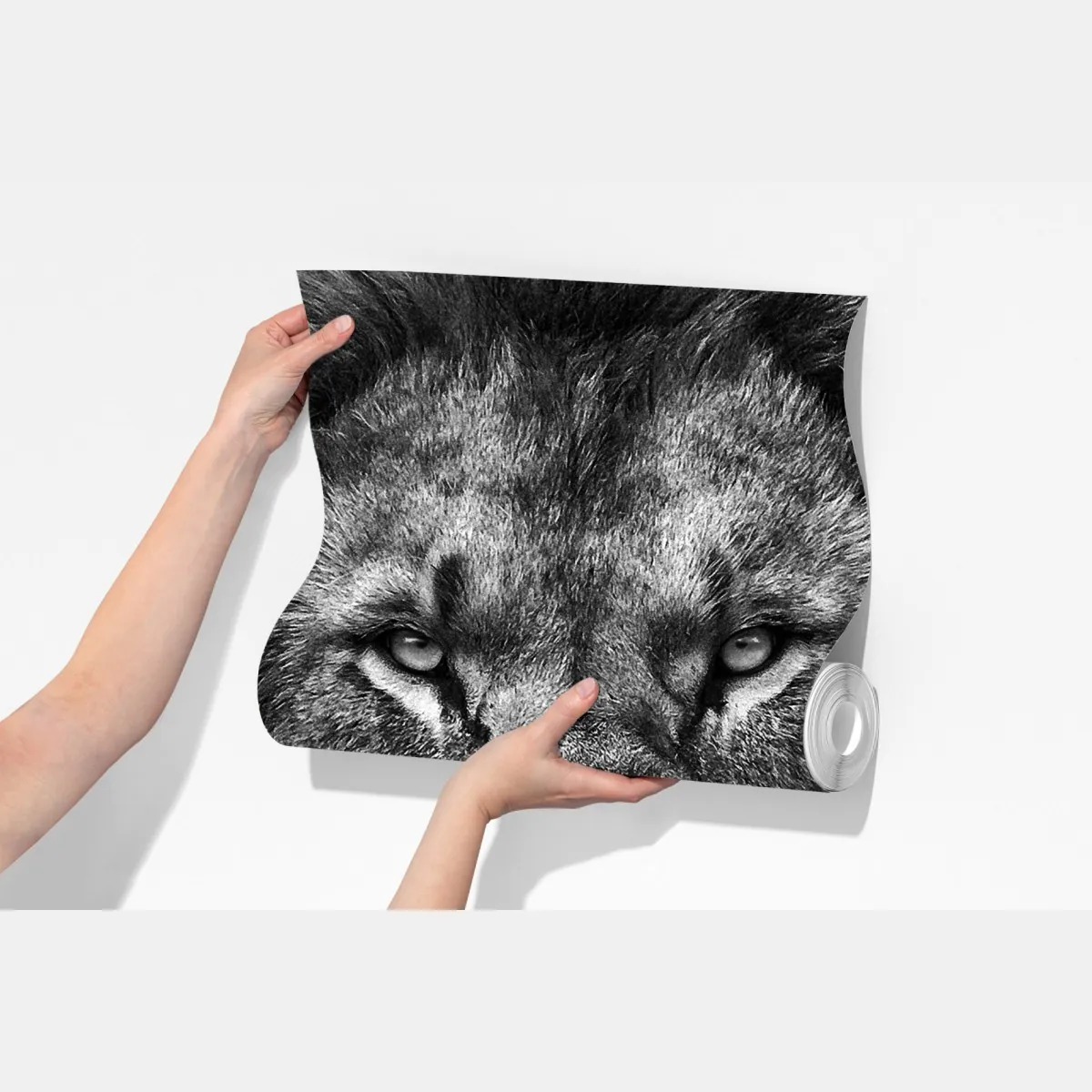 Fototapeta majestatyczny portret lwa w monochromie – Wallissimo® Fototapeta majestatyczny portret lwa w monochromie – Wallissimo®