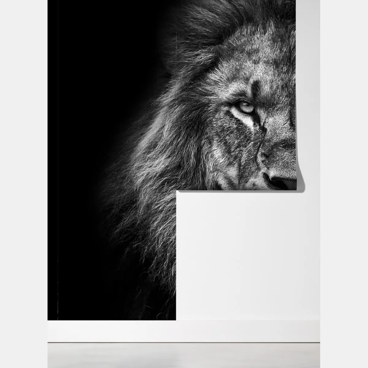 Fototapeta majestatyczny portret lwa w monochromie – Wallissimo® Fototapeta majestatyczny portret lwa w monochromie – Wallissimo®