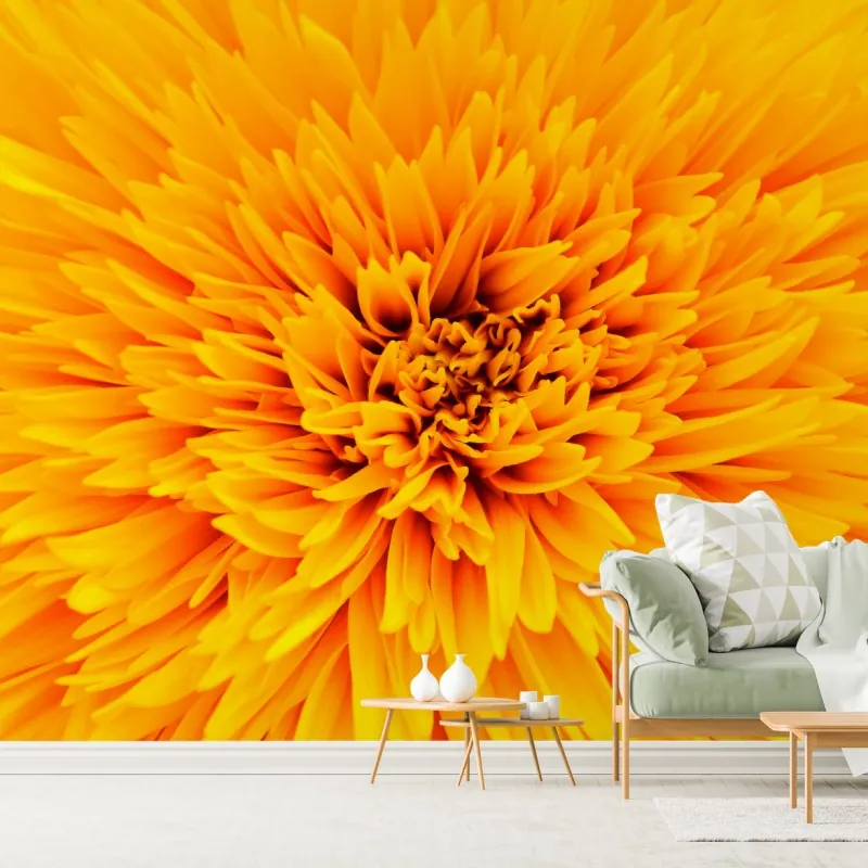 Fototapeta promienny słonecznik z bliska – Wallissimo® Fototapeta promienny słonecznik z bliska – Wallissimo®