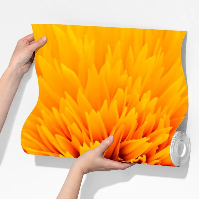 Fototapeta promienny słonecznik z bliska – Wallissimo® Fototapeta promienny słonecznik z bliska – Wallissimo®