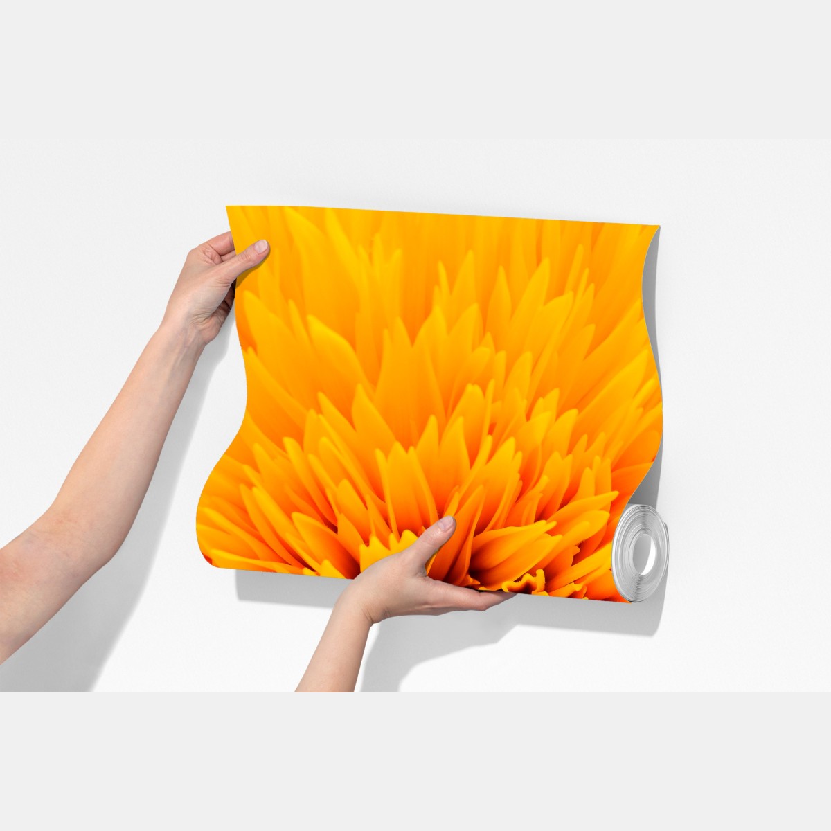 Fototapeta promienny słonecznik z bliska – Wallissimo® Fototapeta promienny słonecznik z bliska – Wallissimo®