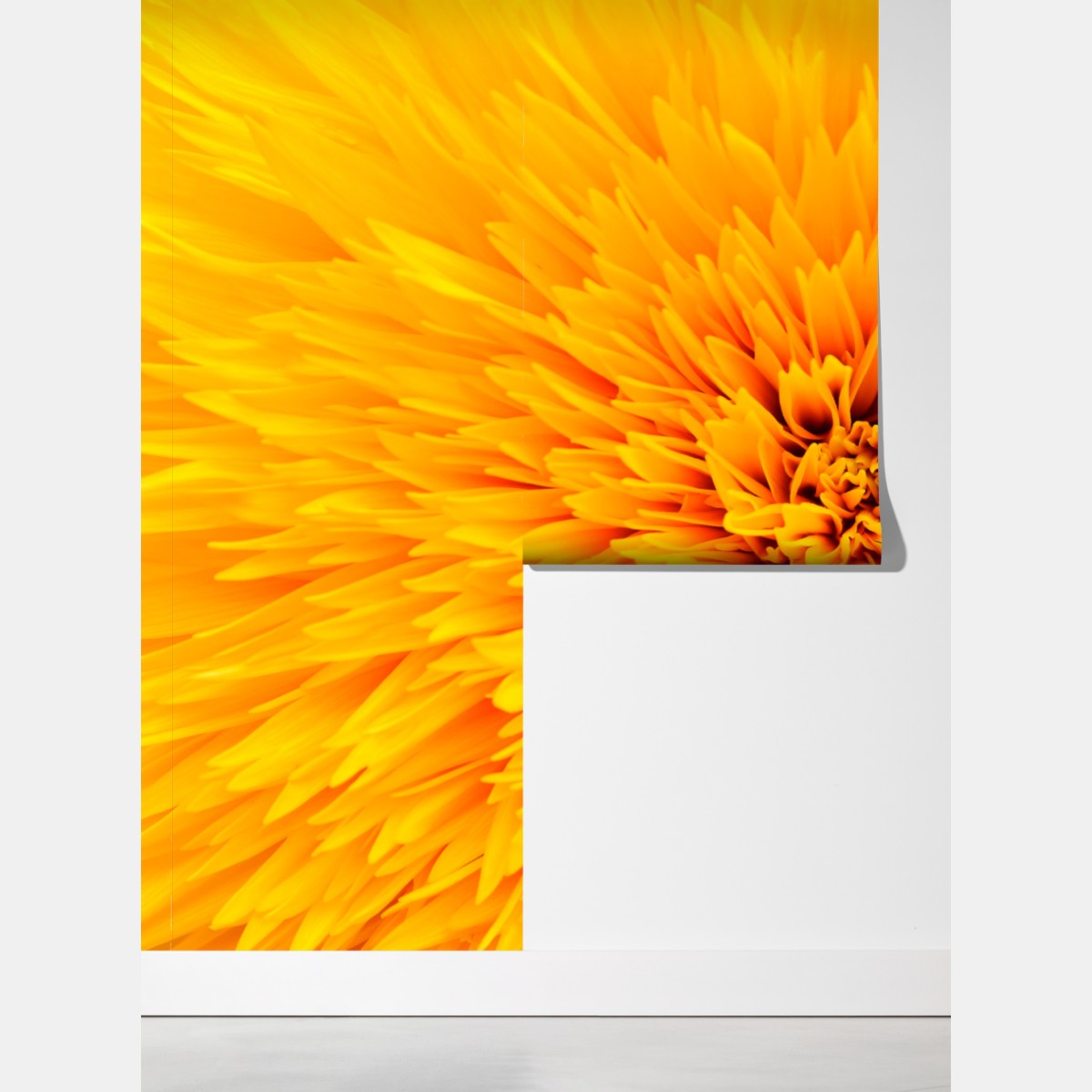 Fototapeta promienny słonecznik z bliska – Wallissimo® Fototapeta promienny słonecznik z bliska – Wallissimo®