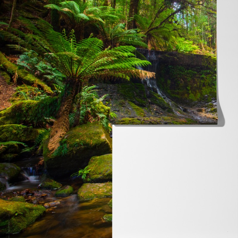 Fototapeta bujny leśny wodospad – Wallissimo® Fototapeta bujny leśny wodospad – Wallissimo®