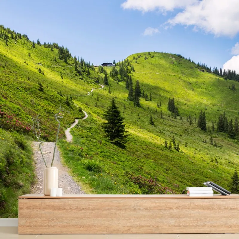 Fototapeta słoneczna górska ścieżka przez zieloną łąkę