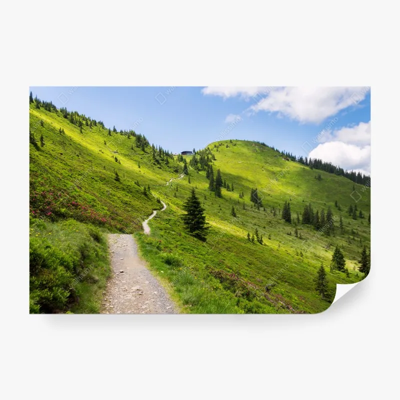 Fototapeta odrzutowiec na czystym niebie – Wallissimo®