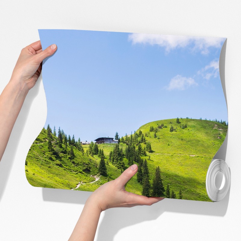 Fototapeta słoneczna górska ścieżka przez zieloną łąkę – Wallissimo® Fototapeta słoneczna górska ścieżka przez zieloną łąkę – Wallissimo®