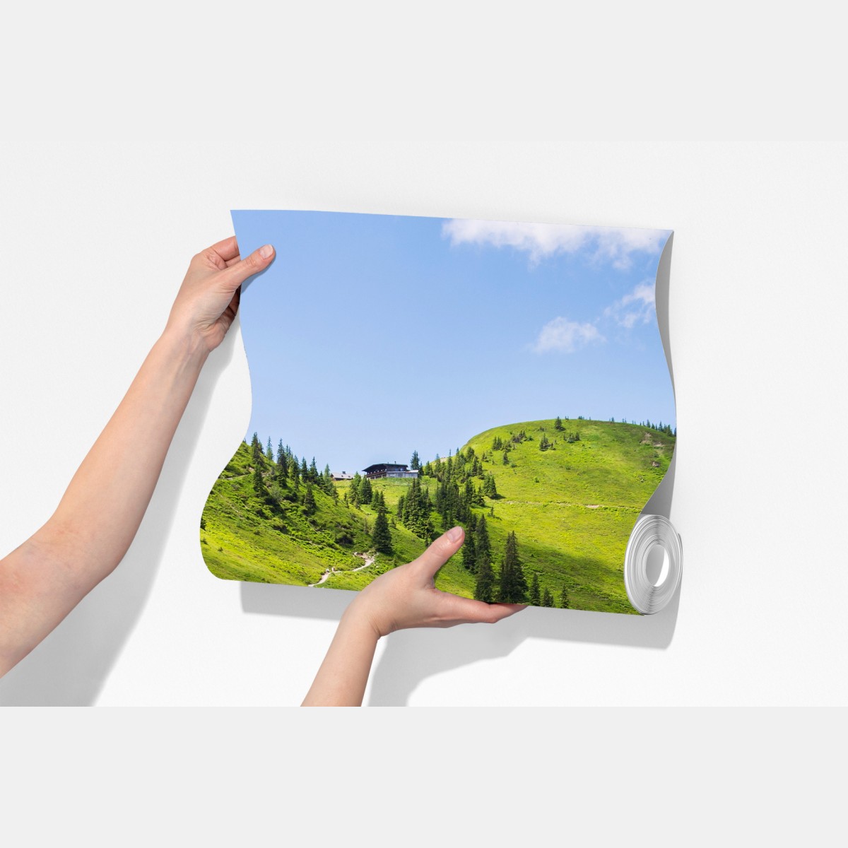 Fototapeta słoneczna górska ścieżka przez zieloną łąkę – Wallissimo® Fototapeta słoneczna górska ścieżka przez zieloną łąkę – Wallissimo®