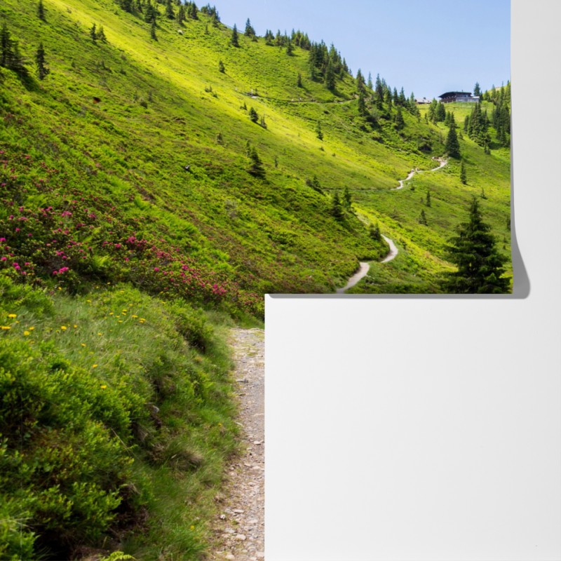 Fototapeta słoneczna górska ścieżka przez zieloną łąkę – Wallissimo® Fototapeta słoneczna górska ścieżka przez zieloną łąkę – Wallissimo®