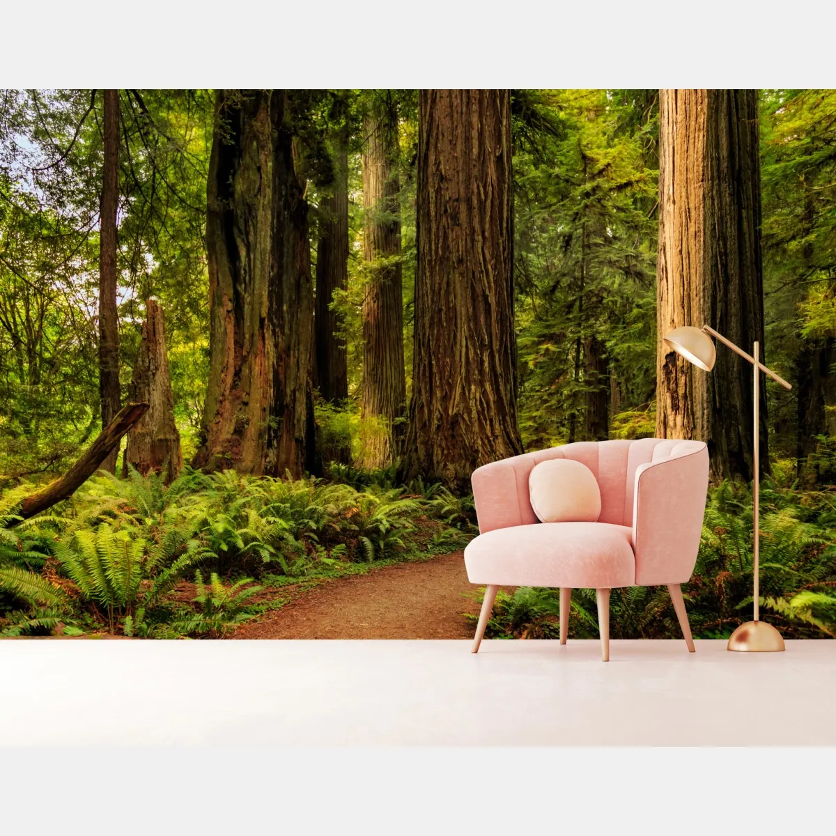 Fototapeta Kalifornia sekwoje leśna ścieżka – Wallissimo® Fototapeta Kalifornia sekwoje leśna ścieżka – Wallissimo®