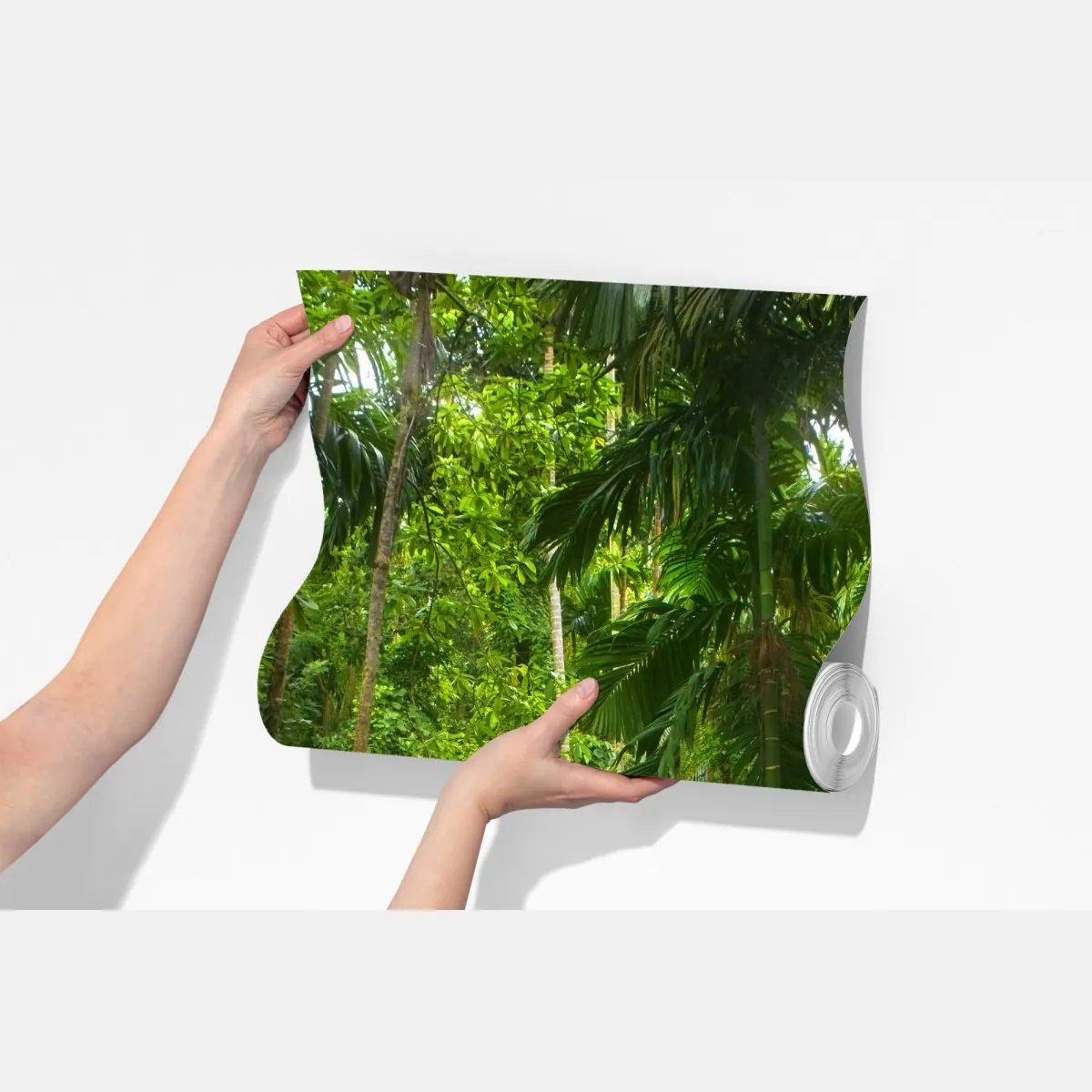 Fototapeta bujna tropikalna dżungla – Wallissimo® Fototapeta bujna tropikalna dżungla – Wallissimo®