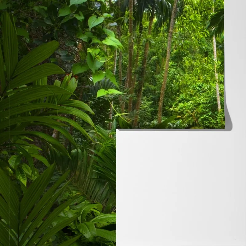 Fototapeta bujna tropikalna dżungla – Wallissimo® Fototapeta bujna tropikalna dżungla – Wallissimo®