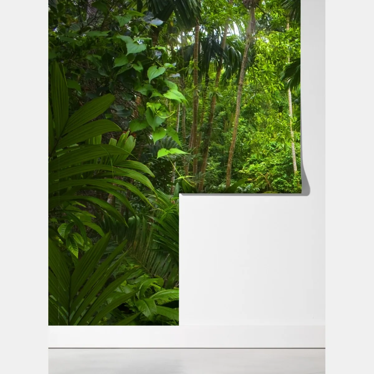 Fototapeta bujna tropikalna dżungla – Wallissimo® Fototapeta bujna tropikalna dżungla – Wallissimo®