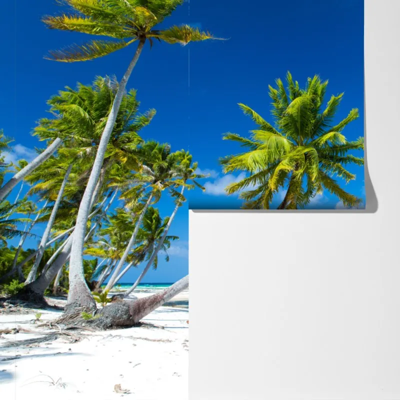 Fototapeta tropikalna plaża z palmami i turkusową wodą – Wallissimo®