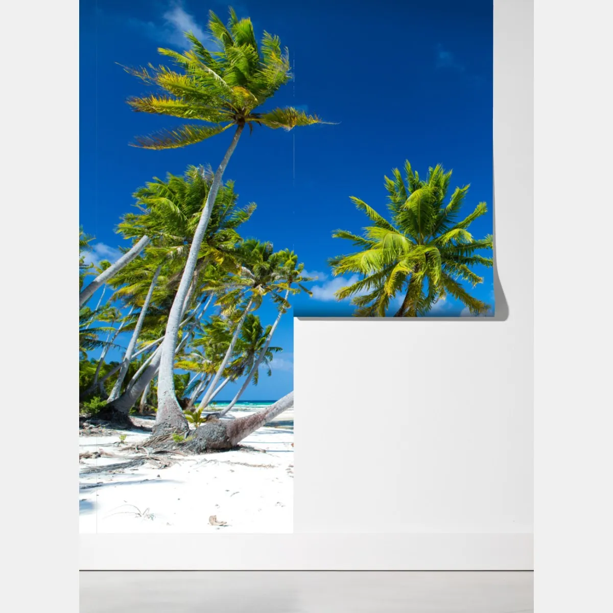 Fototapeta tropikalna plaża z palmami i turkusową wodą – Wallissimo®