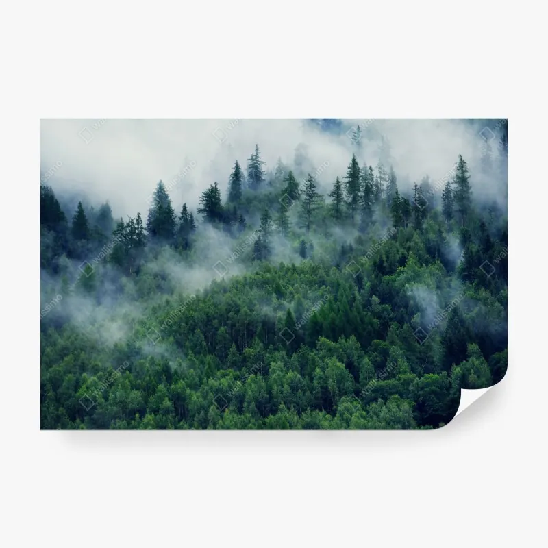 Fototapeta zimowa droga w zaśnieżonym lesie – Wallissimo®