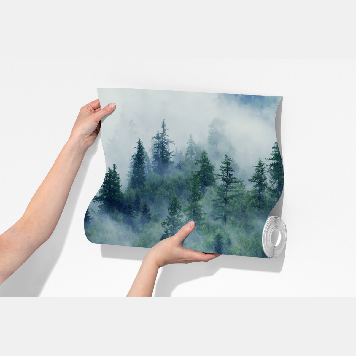 Fototapeta mglisty zielony las – Wallissimo® Fototapeta mglisty zielony las – Wallissimo®