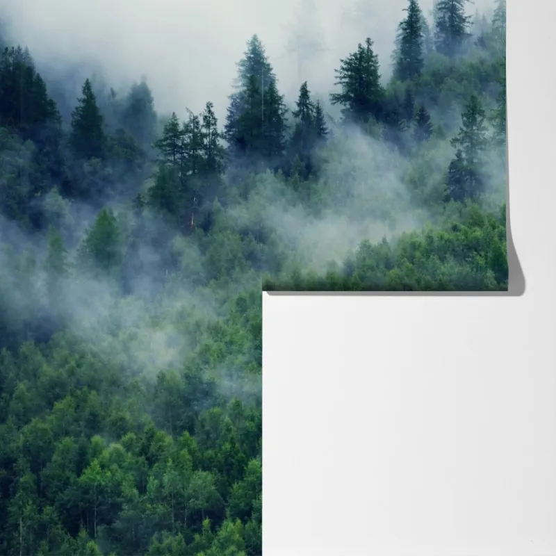 Fototapeta mglisty zielony las – Wallissimo® Fototapeta mglisty zielony las – Wallissimo®