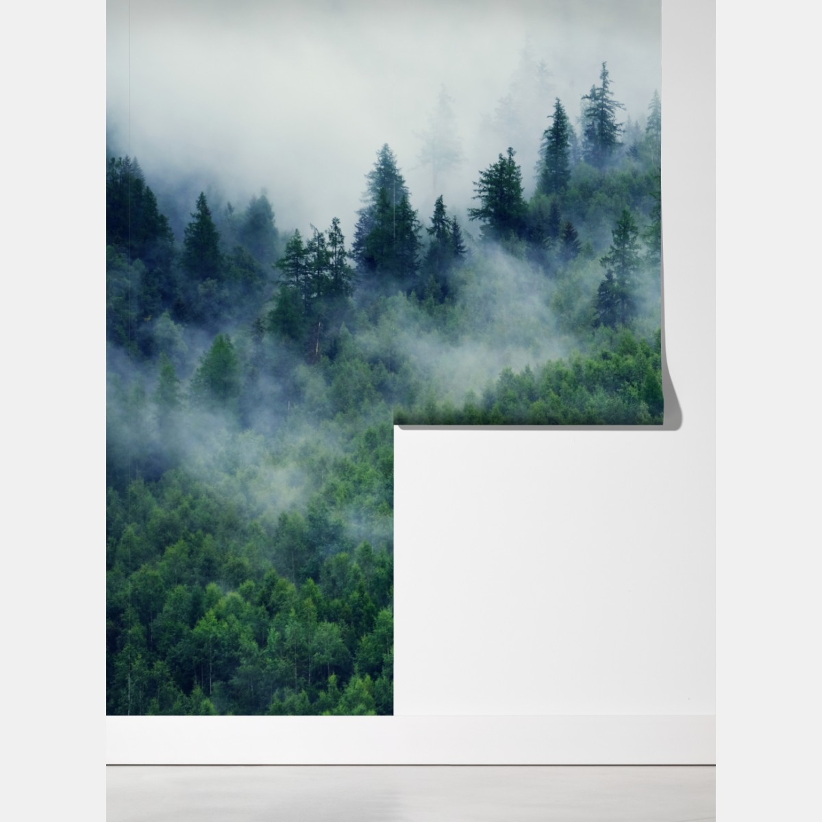 Fototapeta mglisty zielony las – Wallissimo® Fototapeta mglisty zielony las – Wallissimo®