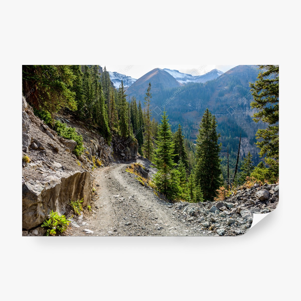 Fototapeta górski szlak przez alpejski las – Wallissimo® Fototapeta górski szlak przez alpejski las – Wallissimo®