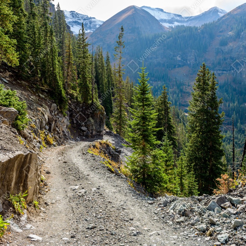 Fototapeta górski szlak przez alpejski las – Wallissimo® Fototapeta górski szlak przez alpejski las – Wallissimo®