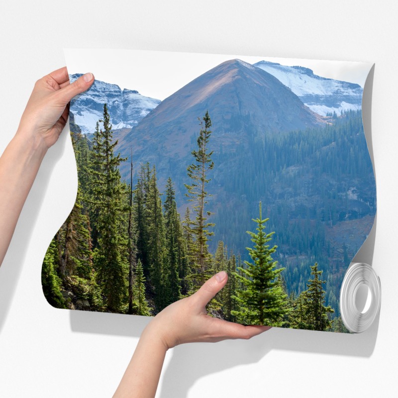 Fototapeta górski szlak przez alpejski las – Wallissimo® Fototapeta górski szlak przez alpejski las – Wallissimo®